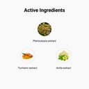 GlucoFit Xpress