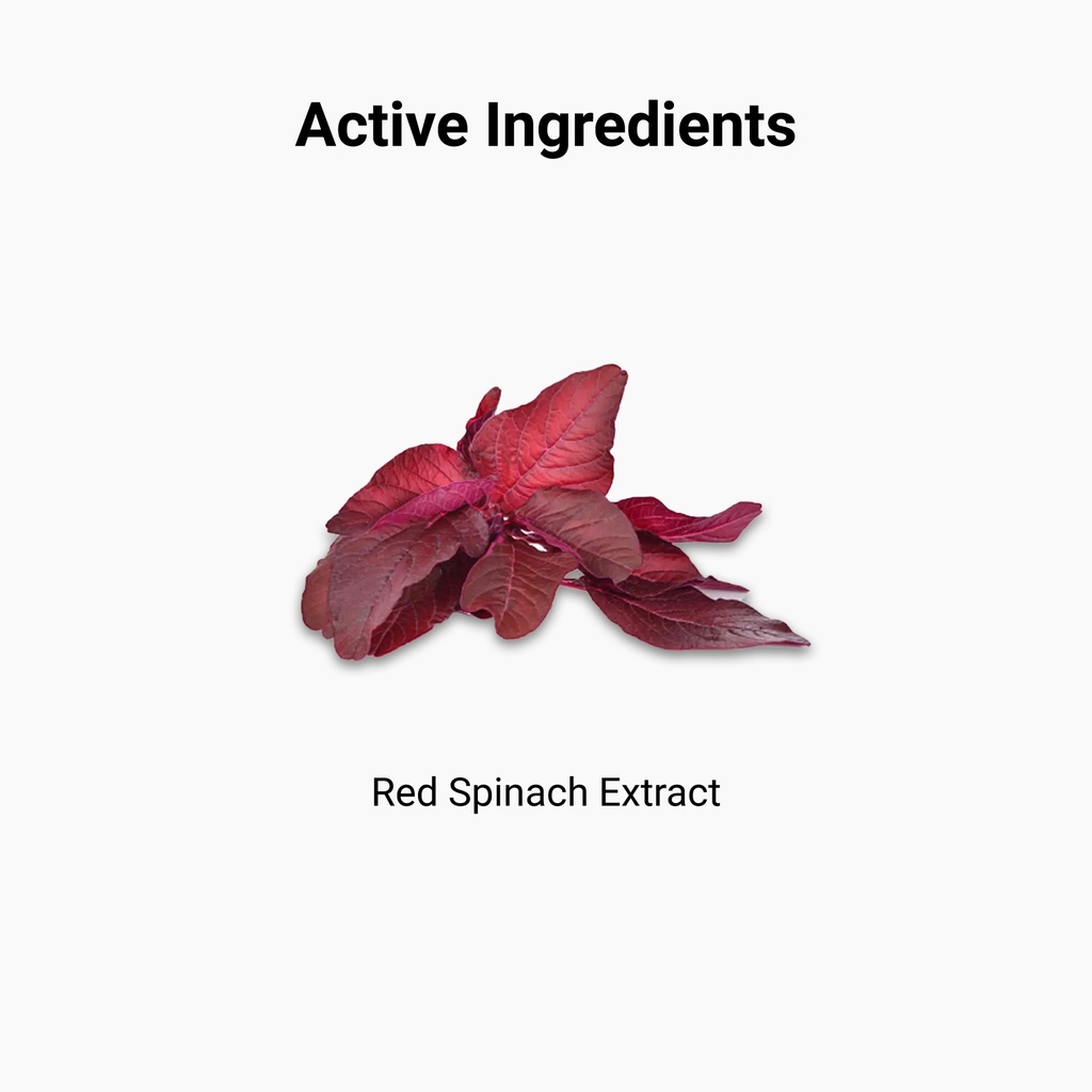 PerformX Activ