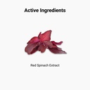 PerformX Activ