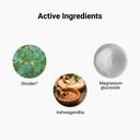 RelaxPro Activ