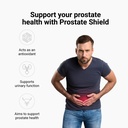 Prostate Shield